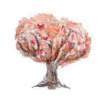 Портфолио charlotte araiza